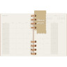 Еженедельник Moleskine SPIRAL XL DHSPP2912MWH4Y23 светло-коричневый